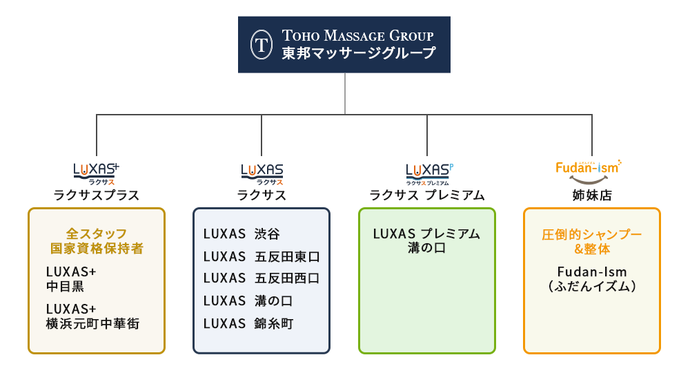 東邦マッサージグループ組織図