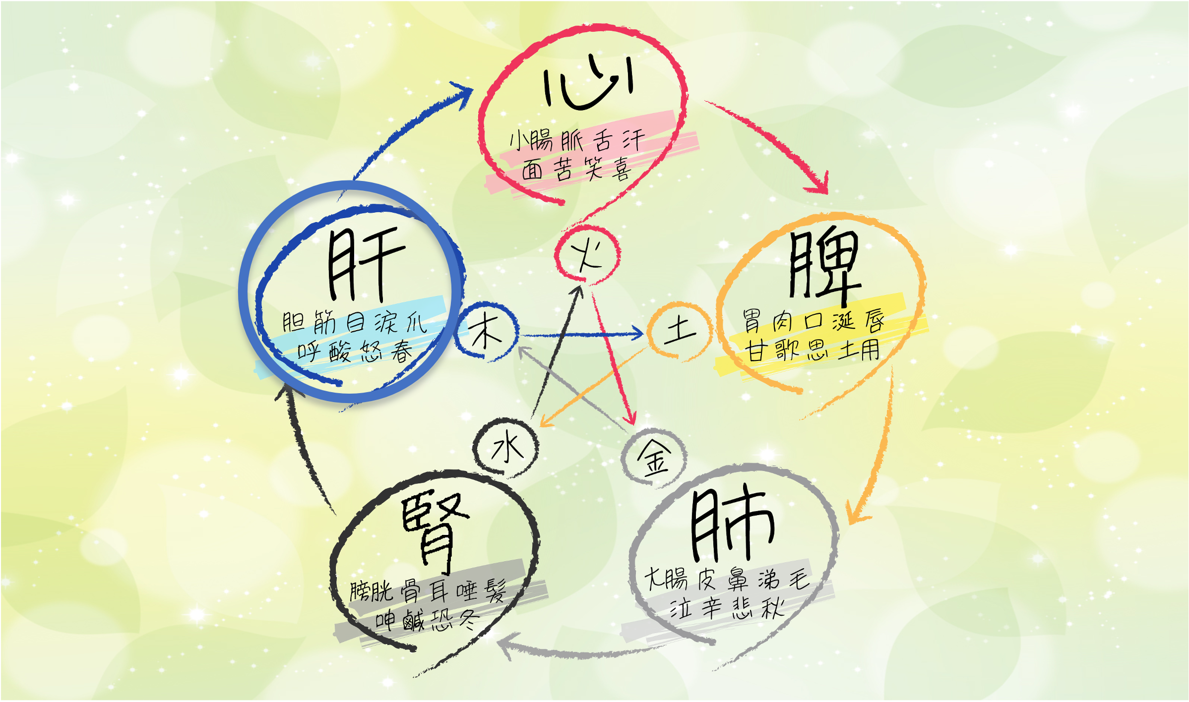 中医学 東洋医学講座 第3巻 脾臓・肺臓・腎臓編 東洋医学講座 第3巻＜脾臓・肺臓・腎臓＞ 株式会社 緑書房
