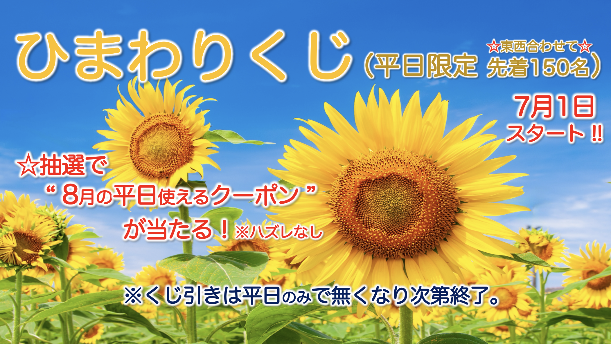 ひまわり さまへ ご案内のための専用ページです*✽: サマーキャンペーン 